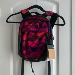 The North Face Borealis Mini Backpack in Pink
